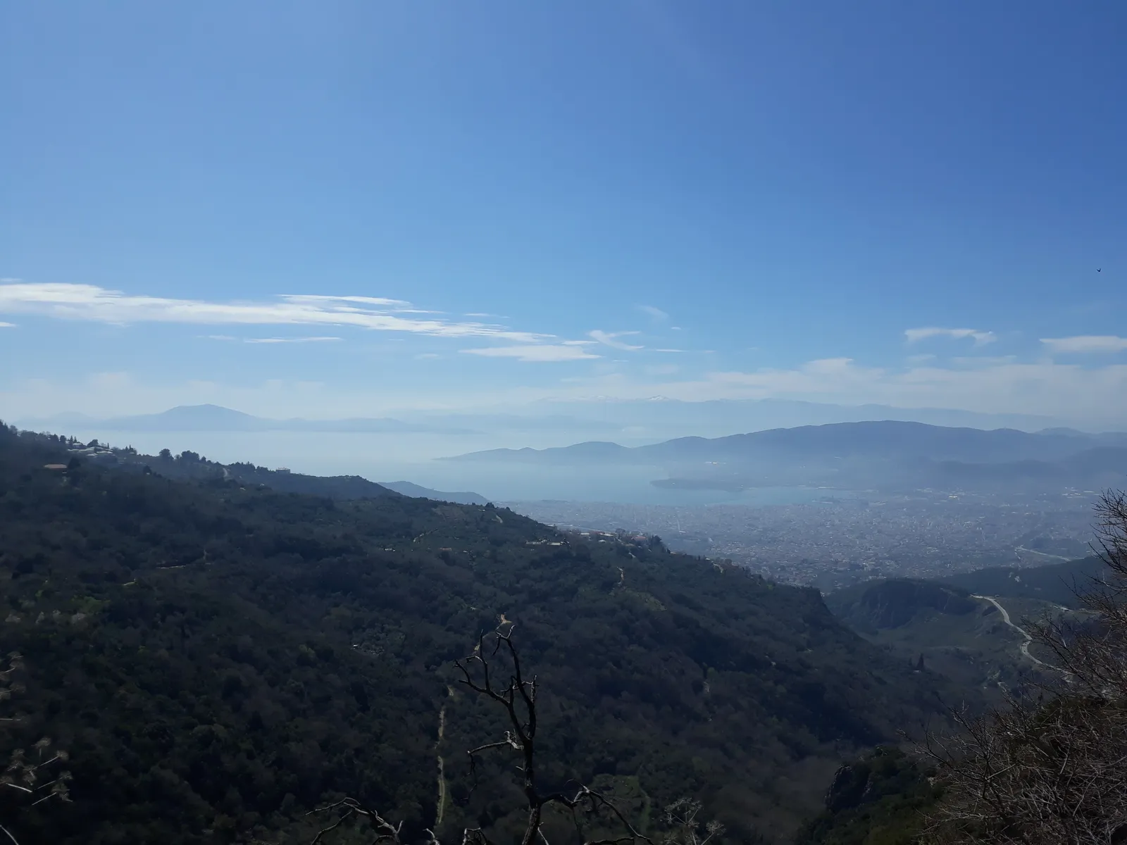 20180311_125158.jpg